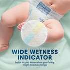 Pampers Pure Protection Baby Diapers  Plant-based  Size 4  150 Count 