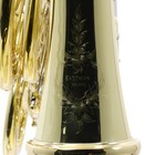 Eastman Model Efhbrvo Bravo Double French Horn With Detachable Bell Sn 13981809