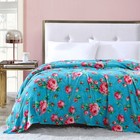 Cozy Plush Fleece Blanket Oversized Soft Reversible Anti-pilling Multi-color New