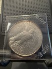 1925 Peace Dollar Au ms With Toning
