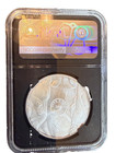 2025 South Africa 1 Oz Silver Big 5 Iii Rhino Bu Ngc Ms70
