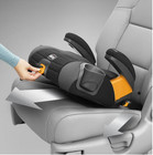 Chicco Gofit Plus Backless Booster Car Seat - Vivaci  pink 