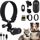 Hd 1080p Dog Tracker Collar With 32g Card Dog Cat Pet Camera Collar Nanny Camera