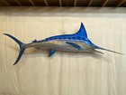 Blue Marlin Fish 