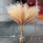 43  Tall Pampas Grass Fluffy - 8 Pcs Large Faux Pampas Grass Decor Artificial 