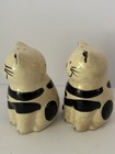 Ceramic Cats kittens Black And White Striped Salt And Pepper Shakers