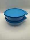 Tupperware Little Wonders Set Of 2 Blue Seals New Bpa Free Ship