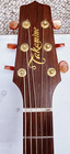 Takamine Tan10c Pro Series Dreadnought Acoustic-electric Guitar