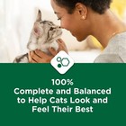 Purina Cat Chow Hairball   Healthy Weight  Indoor Dry Cat Food  Chicken  20 Lb