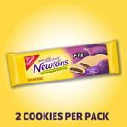 Newtons  Fruit Chewy Baked Fig Cookies  10 Packs  2 Cookies Per Pack   Shelf Sta