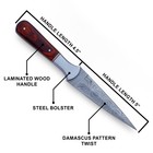 Custom Hand Made Forged Dagger Knife Damascus Blade Boot Skinner Survival Knives