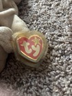 Beanie Baby Fetch The Dog 97 98 Several Tag Errors Ty Collectible Plush Toy