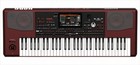 Korg Pa1000 61-key Professional Arranger Workstation Keyboard Music Instruments