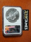 2017  p  Silver Eagle Ngc Ms70 Struck At Philadelphia Mint First Day Issue Fdi