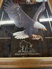 Miller High Life American Bald Eagle Bar Mirror  Beer Sign Wildlife Series