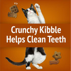  4 Pack  Purina Friskies Cat Treats  Party Mix Chicken Lovers Crunch  20 Oz 