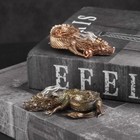 Solid Bronze Coiled Dragon Statue  Dragon Figurine  Dragon Sculpture Artwork