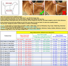 Adidog Pet Dog Cute Clothes Tracksuit Hoodie Coat 4legs Jumpsuit  2legs Pullover