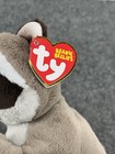 Ty Beanie Baby Bellies Petey The Raccoon Plush 7  Stuffed Animal