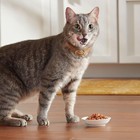New 12 Pieces Meow Mix Seafood Favorites Wet Cat Food Variety Pack 2 75 Oz New