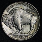 1934 Buffalo Nickel Choice Bu  uncirculated  Ms E398 Swbm