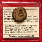 Xf Seleucid Antiochus Viii Owl Amphora 122bc Genuine Greek Coin   Coin Wallet