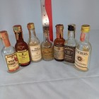 Lot Of 7 Vintage Mini Empty Liquor Whisky Bottles Glass