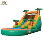 Commercial Pvc Inflatable Water Slide Bounce House Park Splash Pool With Blower