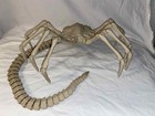 Alien Facehugger 1 1 Replica Prop Cosplay Halloween Costume Accessory Xenomorph 
