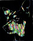 Custom Pet Portrait From Your Pet Photo 8x10 Acrylic Abstract Whimsical Rainbow 