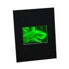 3d Shark  great White  2-channel Hologram Picture Matted  Polaroid Photopolymer