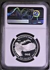 2021 W Platinum Eagle P 100 Ngc Pr70 Uc - Freedom Of Religion - Fdoi - Castle