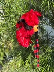 1  Premium Kamani Ikaika Nut Red Black Hawaiian Design Warrior Helmet Car Decor