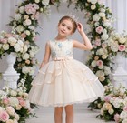 Children s Formal Dress Girls Flowers Princess Dress For Wedding Party Birthday