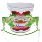 Dental Oral Dry Field System Nola Retractor Lip Cheek Retractor   Suction System
