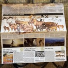 National Geographic Greater Yellowstone  Region Road Map  National Park Guide