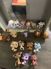 18 Rare Littlest Pet Shop Dog Collection  