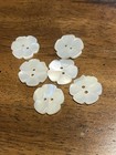 6 Vintage Antique Old Stock Mother Of Pearl 2hole Flower Buttons 3 4 Inch
