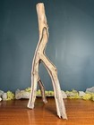 22    Manzanita Driftwood Branch  Aquarium Terrarium Aquascaping Decor  Home Decor