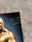 Wwe Wwf Hulk Hogan Autographed 18x24 Oil Velvet 70s Style Art Rare Inscriptions