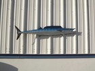 53  Wahoo  ono  Half Mount Replica - Quick Production