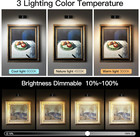 2pcs Picture Light Battery Operated painting Light For Wall With Remote   Art