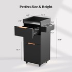 Portable Salon Cart With Wheels  2 Drawers  Adjustable Shelf   Tool Holders New