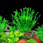 Artificial Water Grass Plant Fish Tank Aquarium Simulation Ornament Home Decor