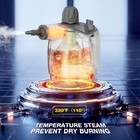 Ticyack Handheld Steam Cleaner  Cleaner With 16 Pcs Large  White