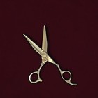Zero-push Crisp Blunt Cut Hair Shears Scissors 5 75  Japanese Ats314 Cobalt Rh