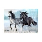 Amazing Puzzles 1000 Piece Jigsaw Puzzle 19x27in With Poster- Wild Beauty Horses