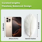 20 Pcs Natura White Ostrich Feathers Plumes 6-8 Inch 15-20 Cm  Bulk Wedding P   