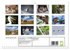 Animal Calendar 2022  monthly Wall Calendar 2026 16 5 X 23 4  open    Calvendo 1