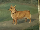 Antique Pembrokeshire Welsh Corgi Dog Oil Painting Signed Dated   Framed